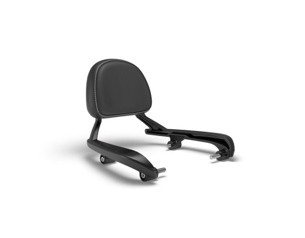 Black Passenger Backrest Mounts - Image 3